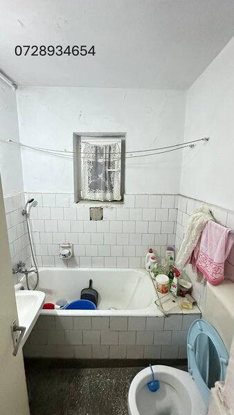 Titan, Liviu Rebreanu